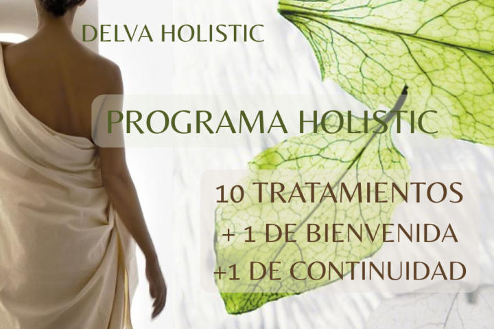 Programa Holistic